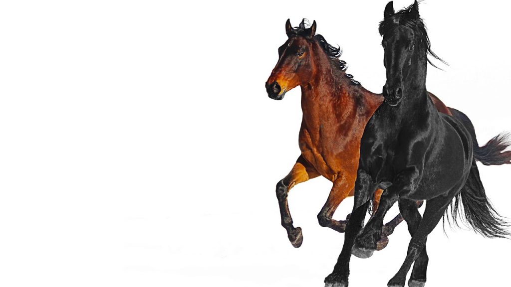 old town road download